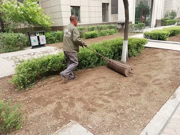 草籽種植